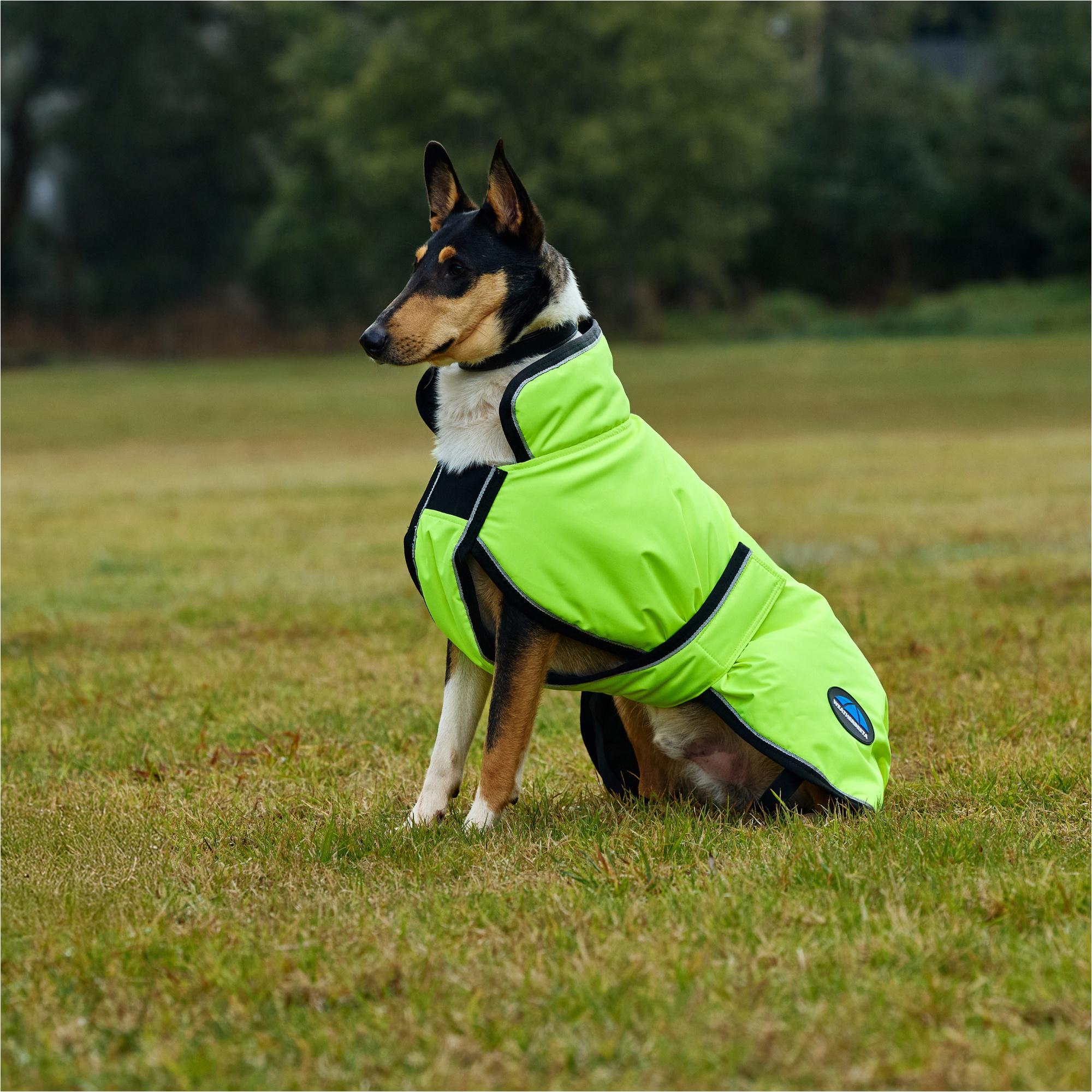 2025 Weatherbeeta Comfitec Reflective 300D Deluxe Showerproof Dog Coat 1029050 - Yellow